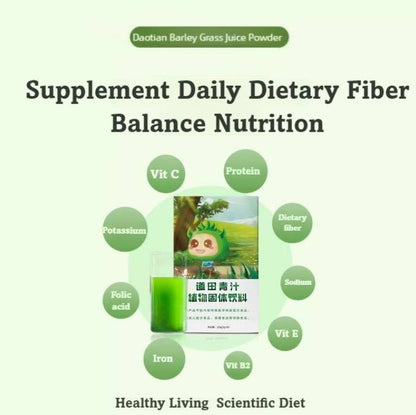Daotian Barley Grass Juice Powder
